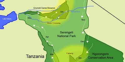 Mapa migracji Tanzanii 