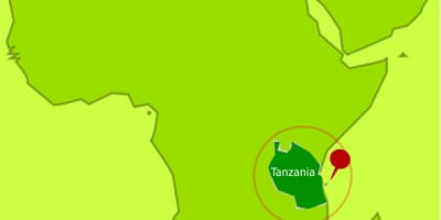 Karty mafia-wyspa Tanzanii